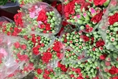 hoa tuoi bạc liêu, shop hoa tươi bạc liêu, shop hoa tươi tại bạc liêu,